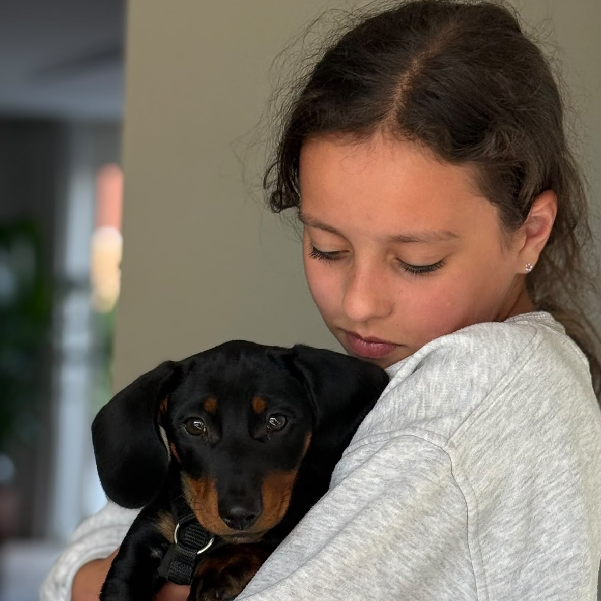 Teckel Billie van Laila en Michel, foto 3