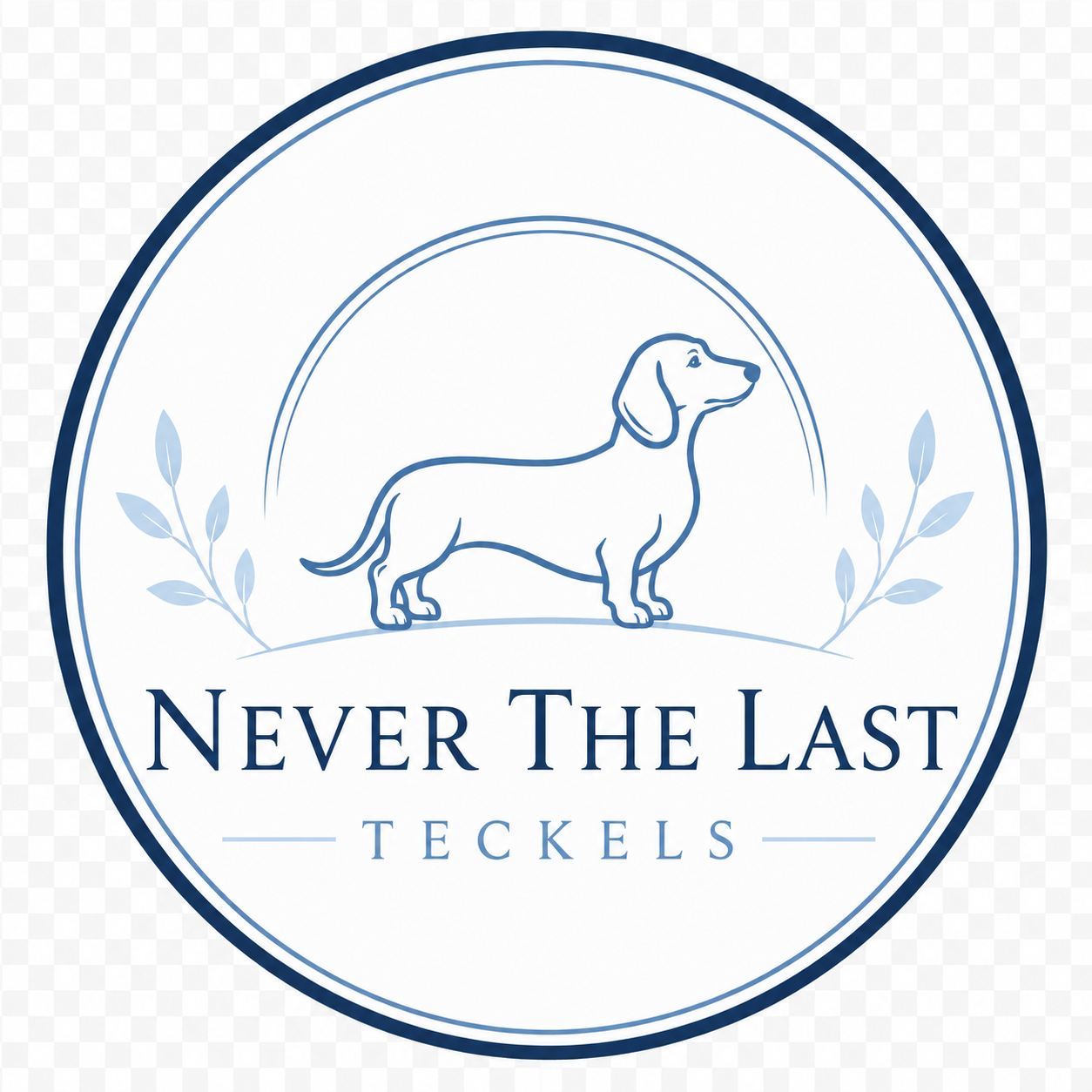 Never The Last Teckels